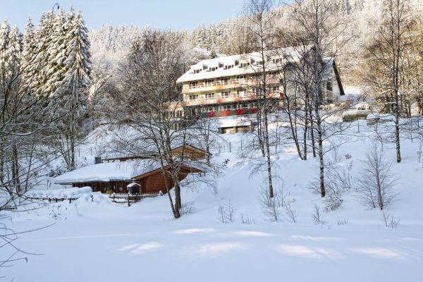 Waldhaus am See (Willingen)